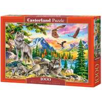 Castorland Castorland 1000 db-os puzzle - Farkas család és sasok (C-104970)