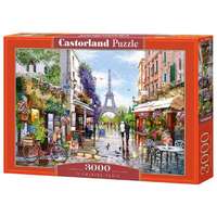 Castorland Castorland 3000 db-os puzzle - Virágzó Párizs (C-300525)