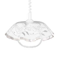 Prezent Prezent LYRA ACRYL 74197B09 függeszték, 1x60W E27