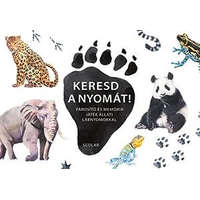 Keresd a nyomát! - Párosító és memóriajáték állati lábnyomokkal