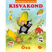 Kisvakond - Nyár - Matricákkal teli könyv