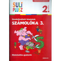 Számolóka 3. /Gondolkodtató feladatok - matematika gyakorló 2. osztály