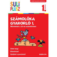 Számolóka gyakorló 1. - Műveletek a 20-as számkörben /Vidám feladatok számokkal 1. osztály