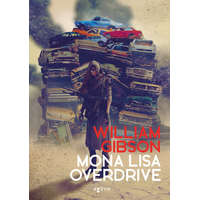 Mona Lisa Overdrive - Sprawl-trilógia 3.
