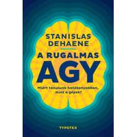 A rugalmas agy - Miért tanulunk hatékonyabban, mint a gépek? - Test és lélek