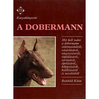 A Dobermann