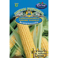 Csemegekukorica Golden Bantam (Aranymazsola)