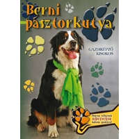 Berni pásztorkutya