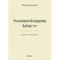Bioenergetic Kiadó Szomorúságom könyve - The Sadness Book - Napló az elengedéshez