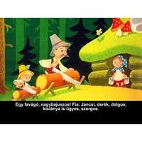 Diafilmgyártó Kft. Jancsi és Juliska - Diafilm