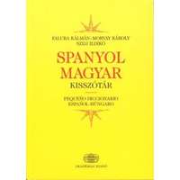 Akadémiai Kiadó Spanyol-magyar kisszótár (2009)