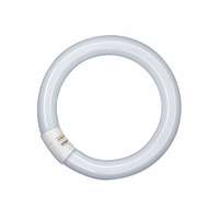 Ledvance Gmbh Osram Lumilux T9 C L 40W/840 G10Q 406mmØ