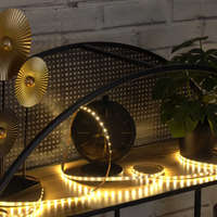 deLux LED szalag 60 led IP20 meleg fehér SMD3528 4,8W/fm, 240lm/m, 2700K, 12V DC, DEL1144