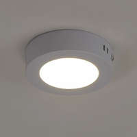 deLux LED panel kerek falon kívüli 6W 420lm 3000K IP20 D: 120mm - deLux DEL1325