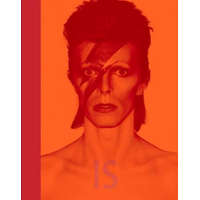 David Bowie Is – Victoria Broackes