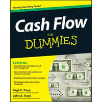 Cash Flow For Dummies – John A Tracy