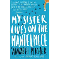  My Sister Lives on the Mantelpiece – Annabel Pitcher