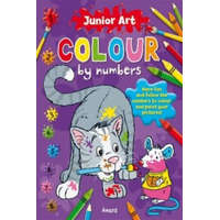  Junior Art Colour By Numbers: Cat – Anna Award