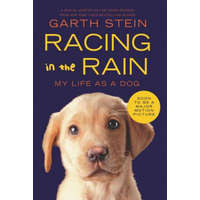 Racing in the Rain – Garth Stein