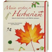 Mein erstes Herbarium - Bäume bestimmen und Blätter pressen – Anita van Saan,Viola Beyer