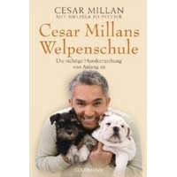  Cesar Millans Welpenschule – Cesar Millan,Melissa Jo Peltier,Andrea Panster