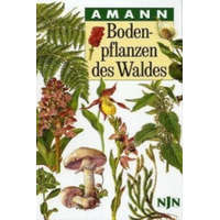  Bodenpflanzen des Waldes – Gottfried Amann,Claudia Summerer