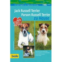  Jack Russell Terrier, Parson Russell Terrier zu Hause – Cornelia Renczes