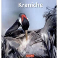  Kraniche – Willi Rolfes,Hartmut Elsner