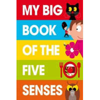  My Big Book of the Five Senses – Patrick George