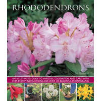 Rhododendrons – Lin Hawthorne