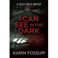  I Can See in the Dark – Karin Fossum