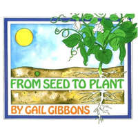From Seed to Plant – Gail Gibbons