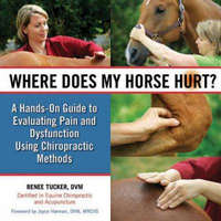  Where Does My Horse Hurt? – Renee Tucker