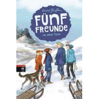 Fünf Freunde im alten Turm – Enid Blyton,Gerda Raidt,Erika Sangerberg