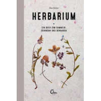  Das kleine Herbarium – Saskia de Valk,Maartje van den Noort