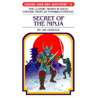 Secret of the Ninja – Jay Leibold
