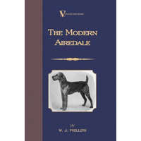  Modern Airedale Terrier – W.J. Phillips