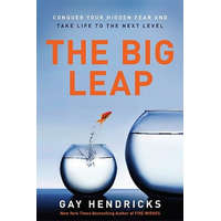  Big Leap – Gay Hendricks