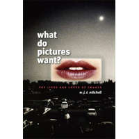  What Do Pictures Want? – W J T Mitchell