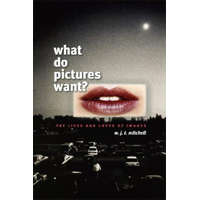 What Do Pictures Want? – W J T Mitchell