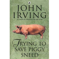  Trying To Save Piggy Sneed – John Irving