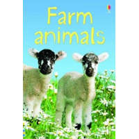  Farm Animals – Katie Daynes