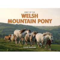  Spirit of the Welsh Mountain Pony – Fleur Hallam
