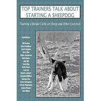  Top Trainers Talk About Starting a Sheepdog – Sally Molloy