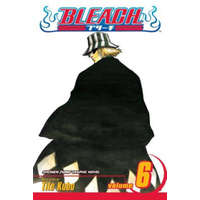  Bleach, Vol. 6 – Tite Kubo