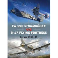  Fw 190 Sturmboecke vs B-17 Flying Fortress – Robert Forsyth