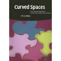  Curved Spaces – P M H Wilson