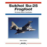  Sukhoi Su-25 Frogfoot, The Soviet Union's Tank-Buster – Yefim Gordon