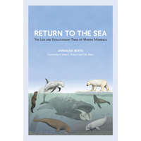  Return to the Sea – Annalisa Berta