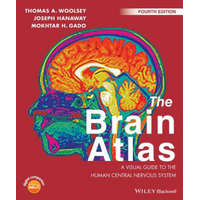  Brain Atlas - A Visual Guide to the Human Central Nervous System 4e – Thomas A. Woolsey,Joseph Hanaway,Mokhtar H. Gado,Joel C. Geerling